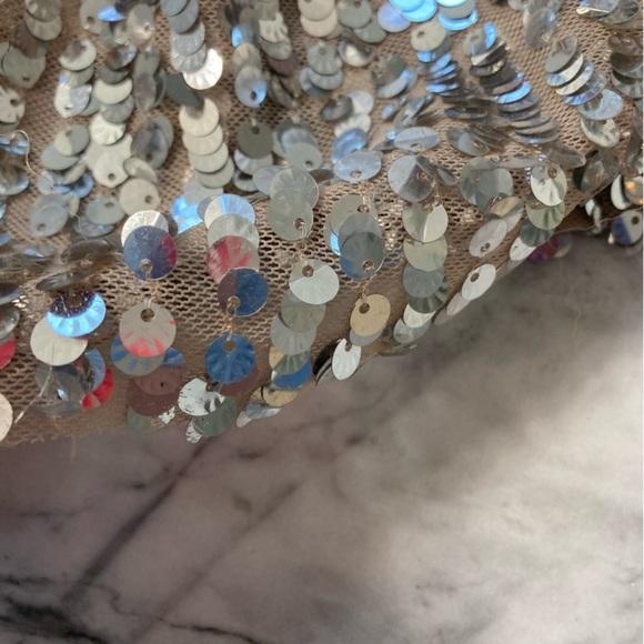 ZARA Silver Nude Flare Sequin Pants - Picture 5 of 16